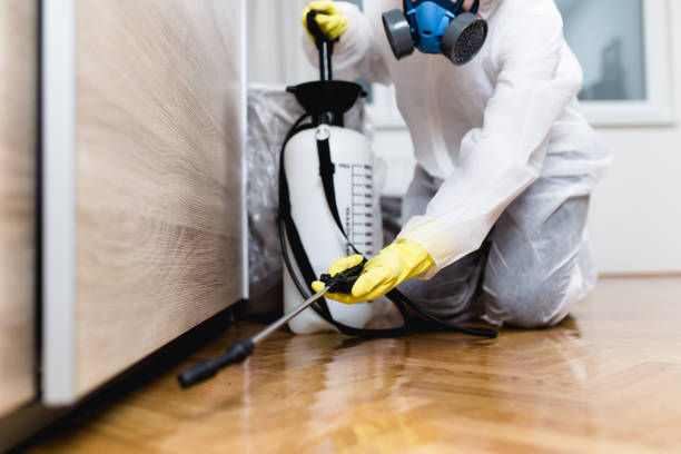 Best Flea Control Services  in Morgantown, MS