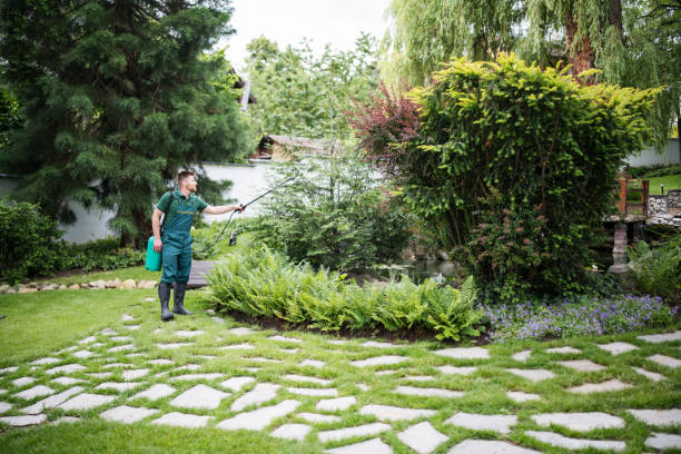 Best Ant Control Services  in Morgantown, MS
