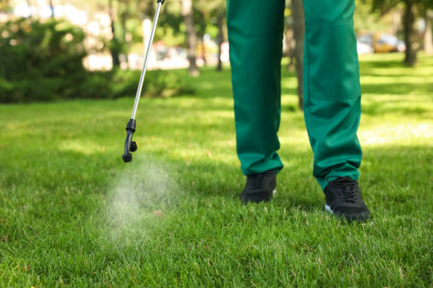 Best Residential Pest Control  in Morgantown, MS