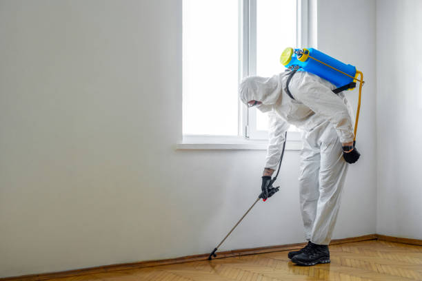 Best Affordable Pest Control Services  in Morgantown, MS