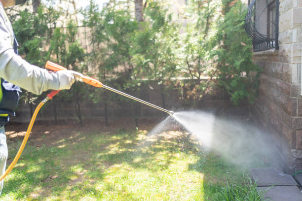 Best Best Pest Control Companies  in Morgantown, MS
