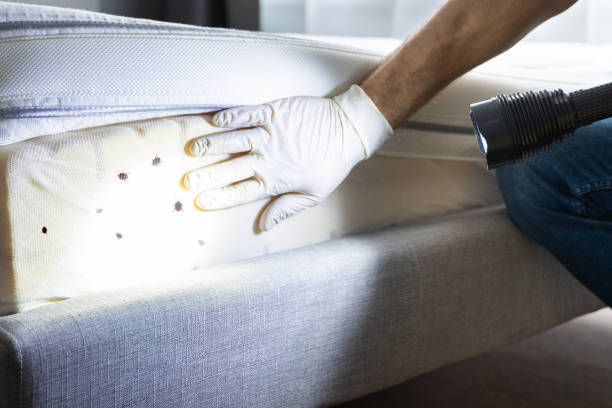 Best Pest Control for Restaurants  in Morgantown, MS
