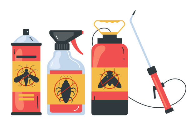 Best Affordable Pest Control Services  in Morgantown, MS